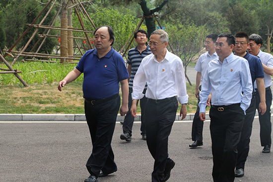 北京市副市长杨斌调研db旗舰厅通州项目